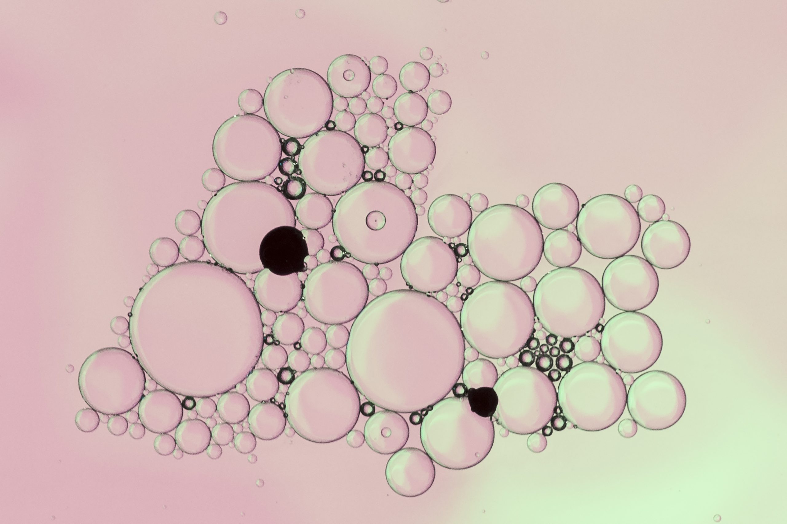 I peptidi, che sono piccole catene di amminoacidi, hanno attirato l'attenzione come potenziali alleati nel trattamento dei disturbi digestivi.