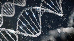 epigenetica ed peptidi